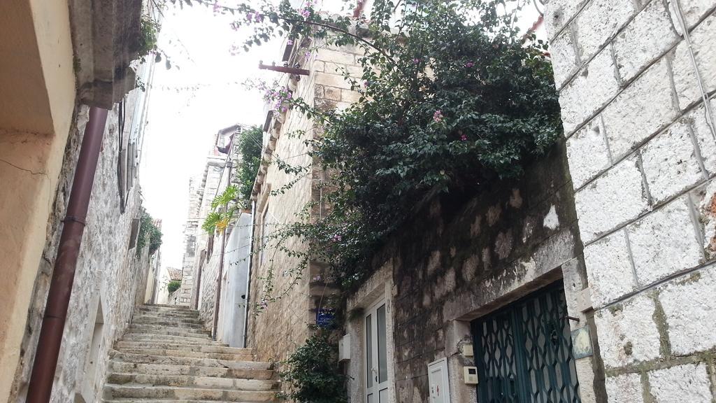 Apartments Previsic Cavtat Zewnętrze zdjęcie